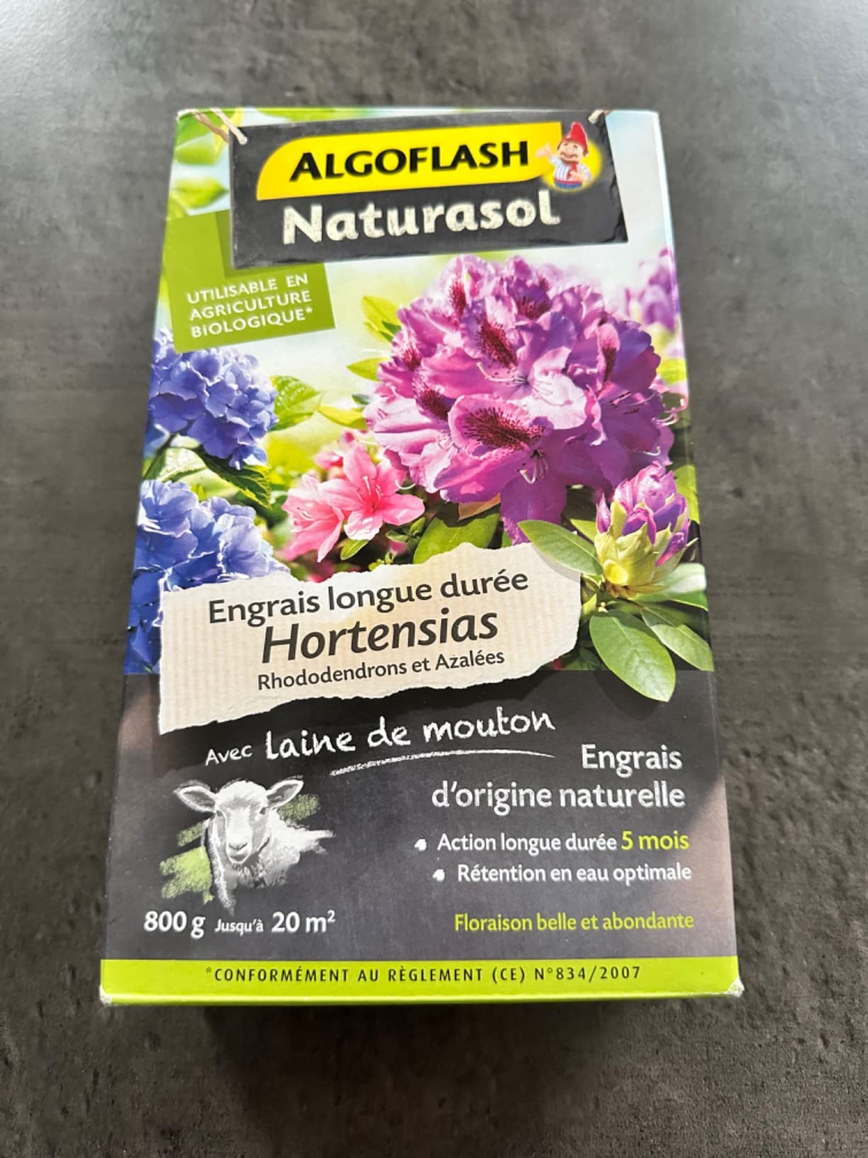Déçue pour mon camélia