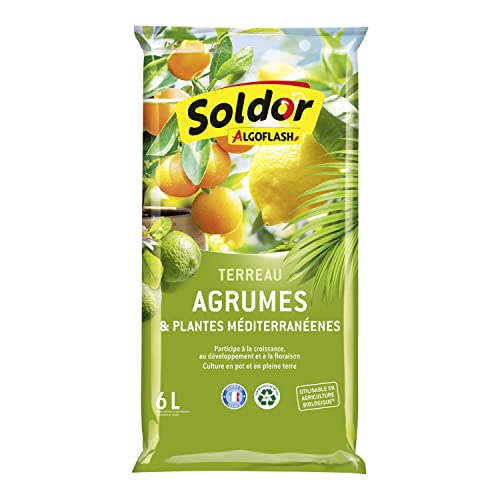 algoflash-terreau-agrumes-et-plantes-m-diterran-ennes-uab-6-l-pr-t-l-emploi image 6