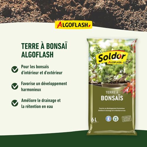 algoflash-tbonz6-terre-bonsa-s-pr-t-l-emploi-6-l-uab image 8