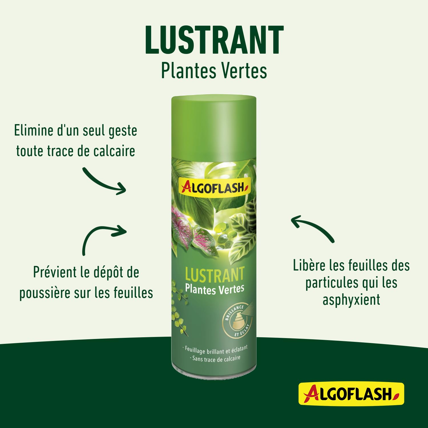 algoflash-lustrant-plantes-vertes-250-ml-brillance-et-protection image 4