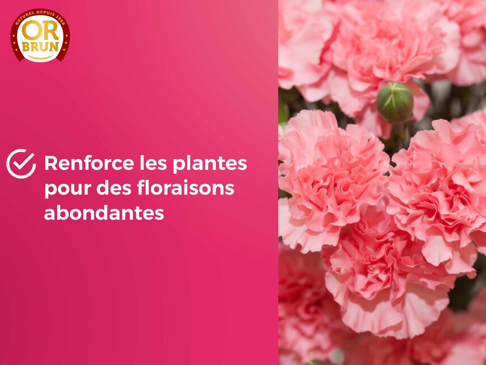 or-brun-engrais-fleurs-liquide-1-l image 4