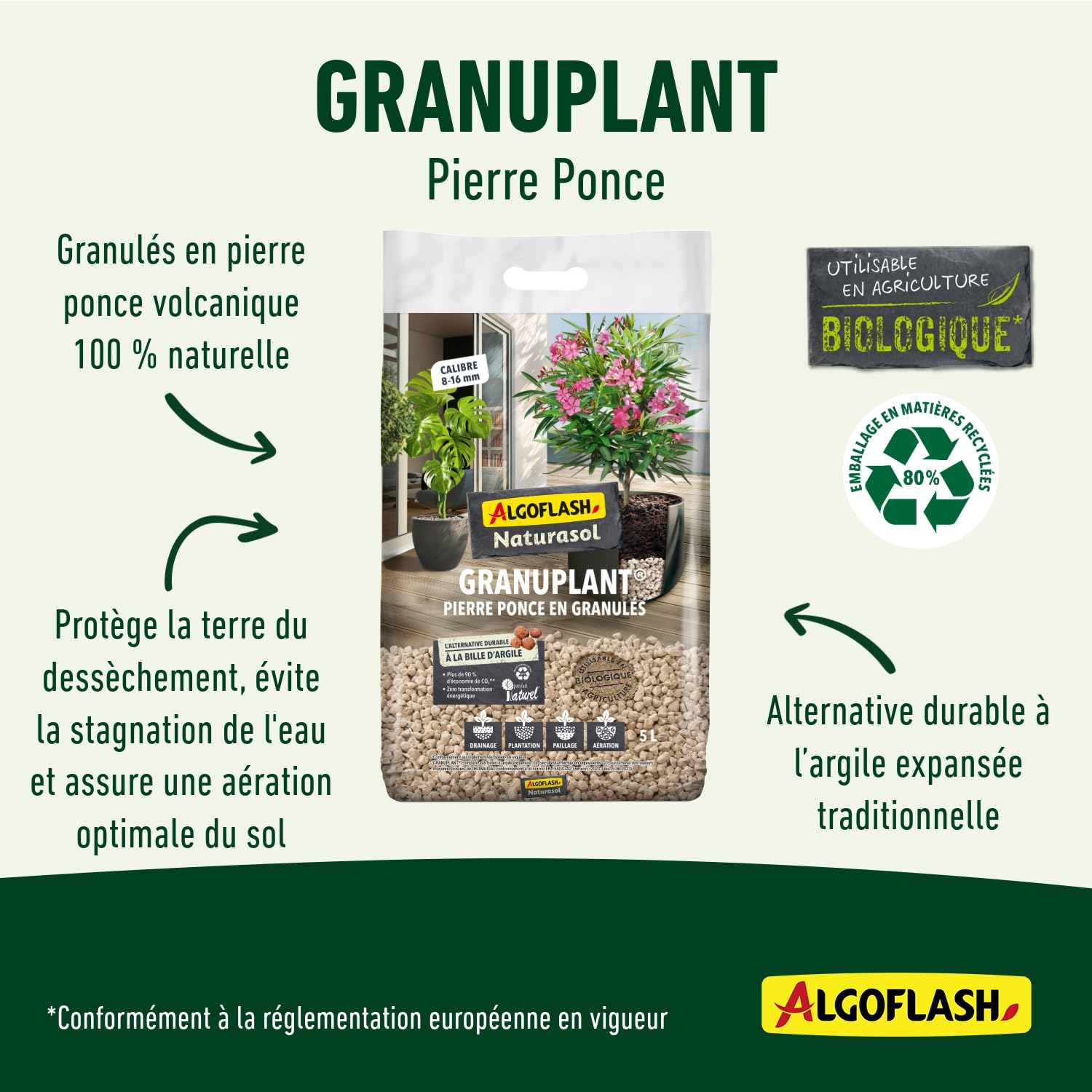 algoflash-naturasol-billes-de-drainage-et-plantation-pierre-ponce-5l image 3