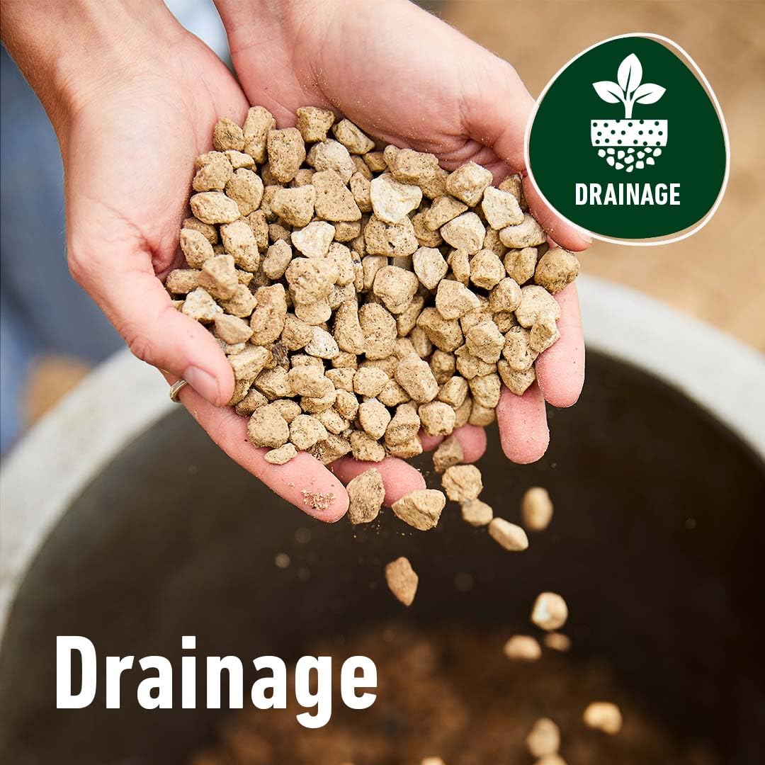 algoflash-naturasol-billes-de-drainage-et-plantation-pierre-ponce-5l image 6