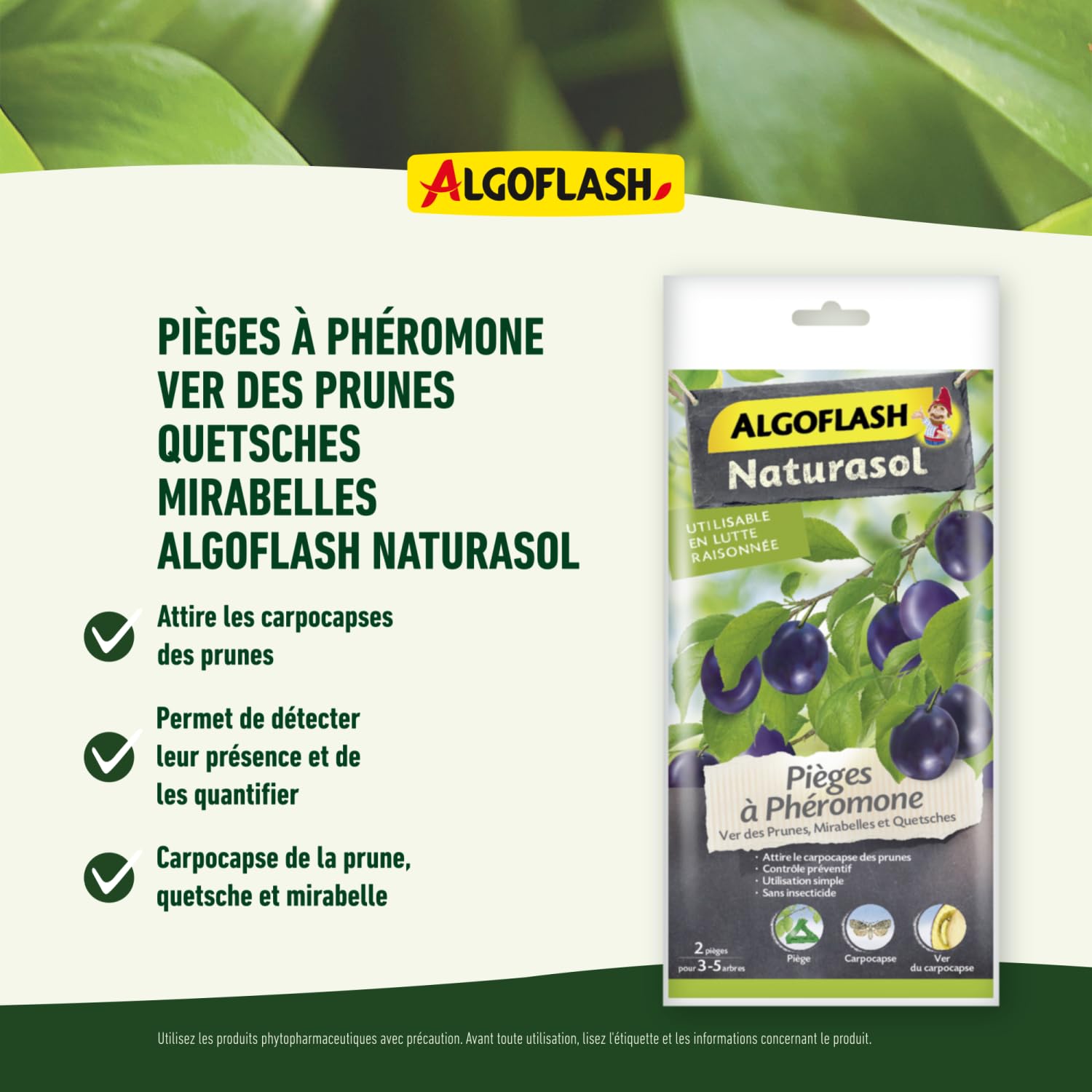 algoflash-naturasol-biopipru2a-pi-ges-ph-romone-ver-des-prunes-x2 image 2