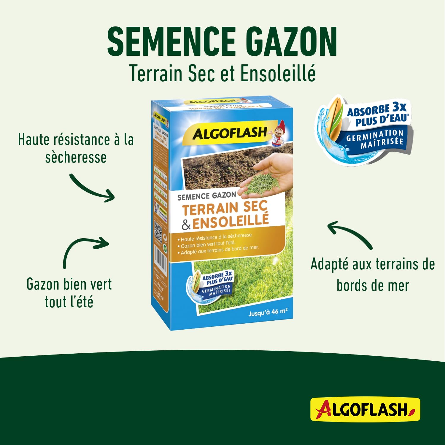 algoflash-semence-gazon-terrain-sec-et-ensoleill-1-kg-semsol1 image 3