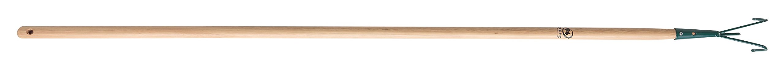 leborgne-463001-griffe-piocheuse-3-dents-manche-bois image 3