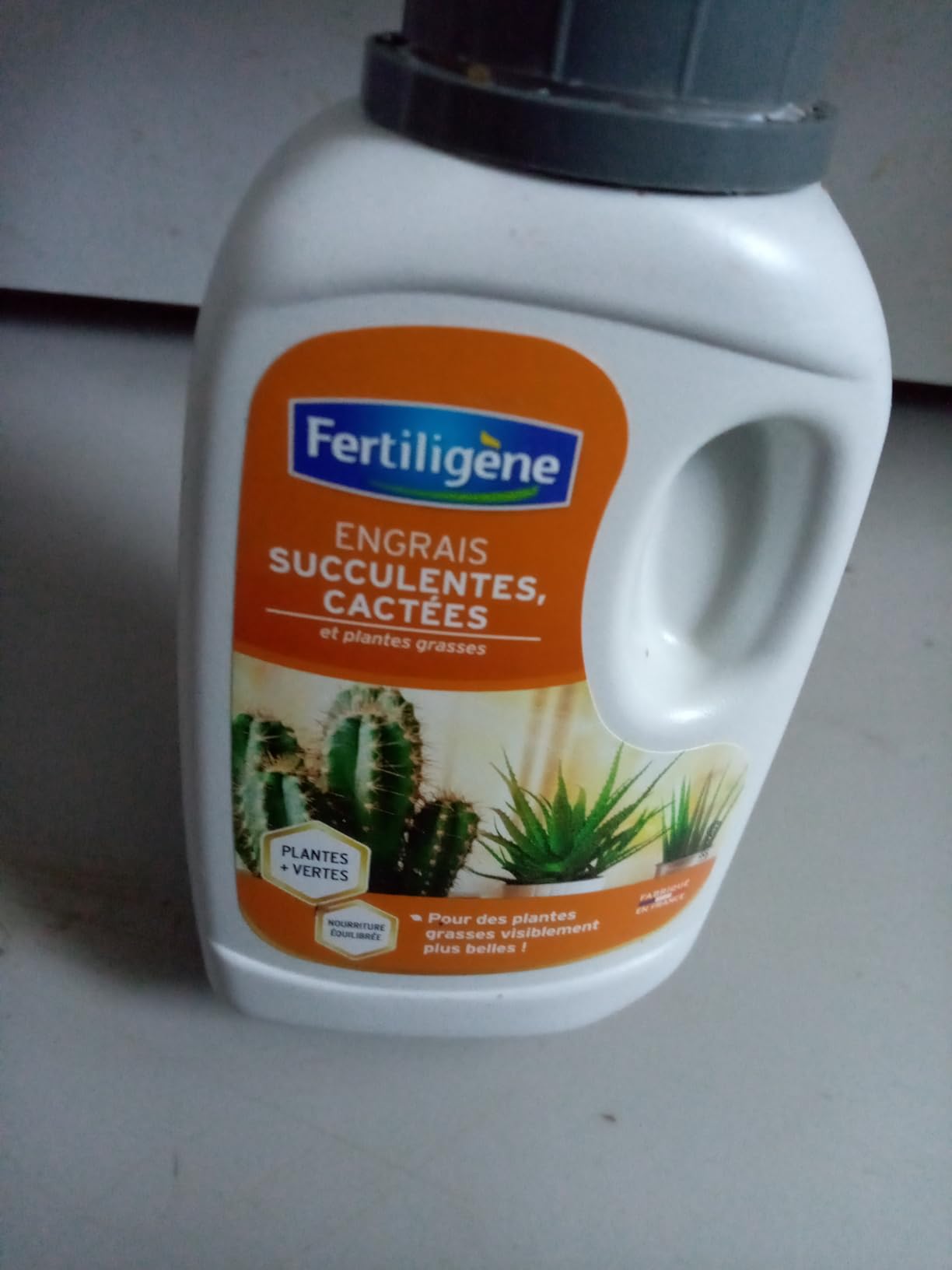 Mes cactus adorent