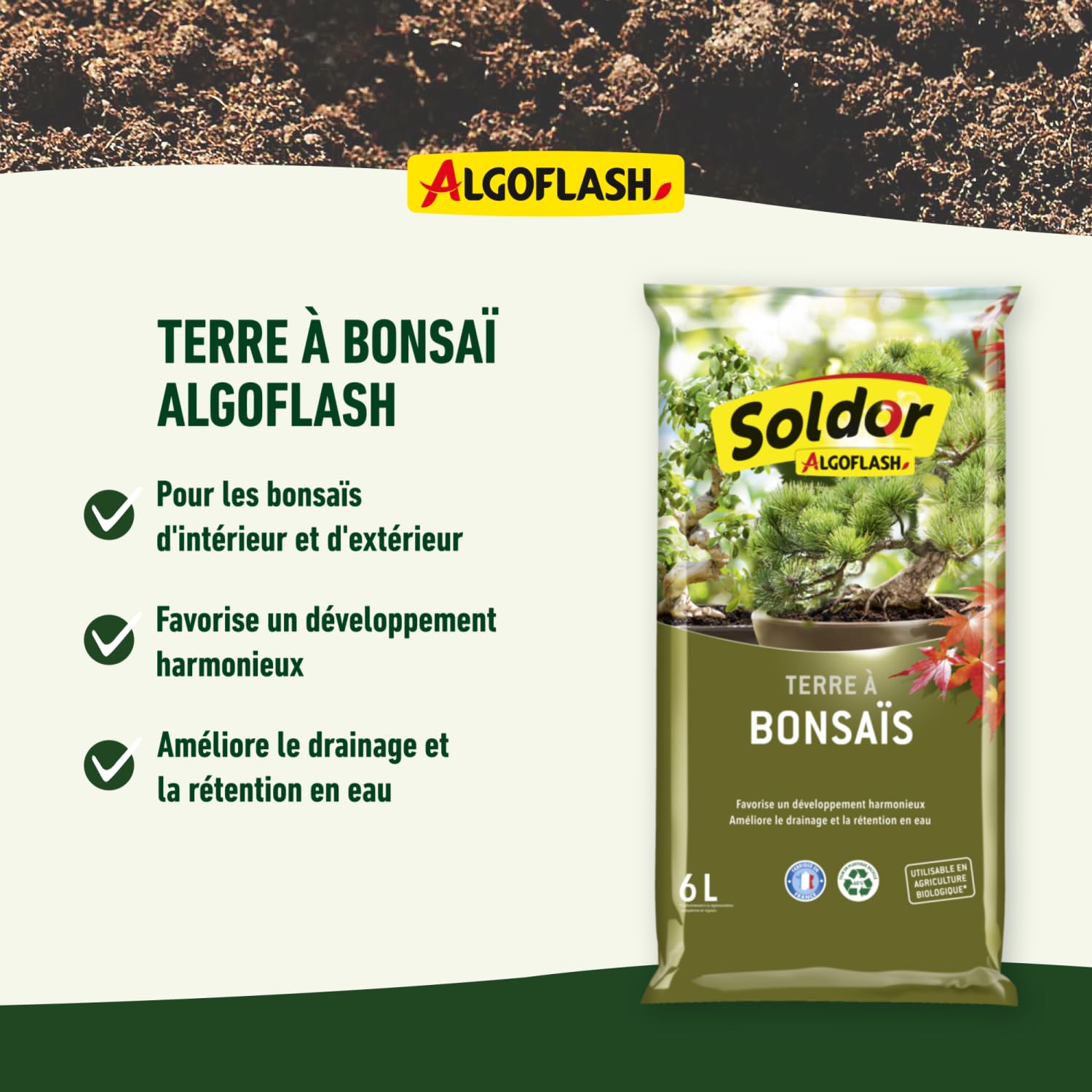 algoflash-tbonz6-terre-bonsa-s-pr-t-l-emploi-6-l-uab image 3