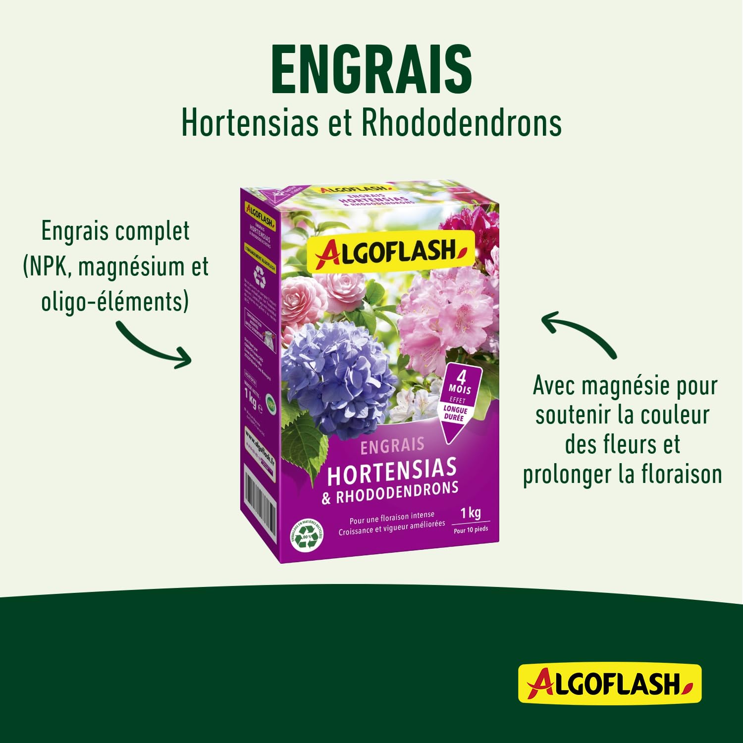 algoflash-engrais-hortensias-et-rhododendrons-longue-dur-e-1-kg-horto1n image 4
