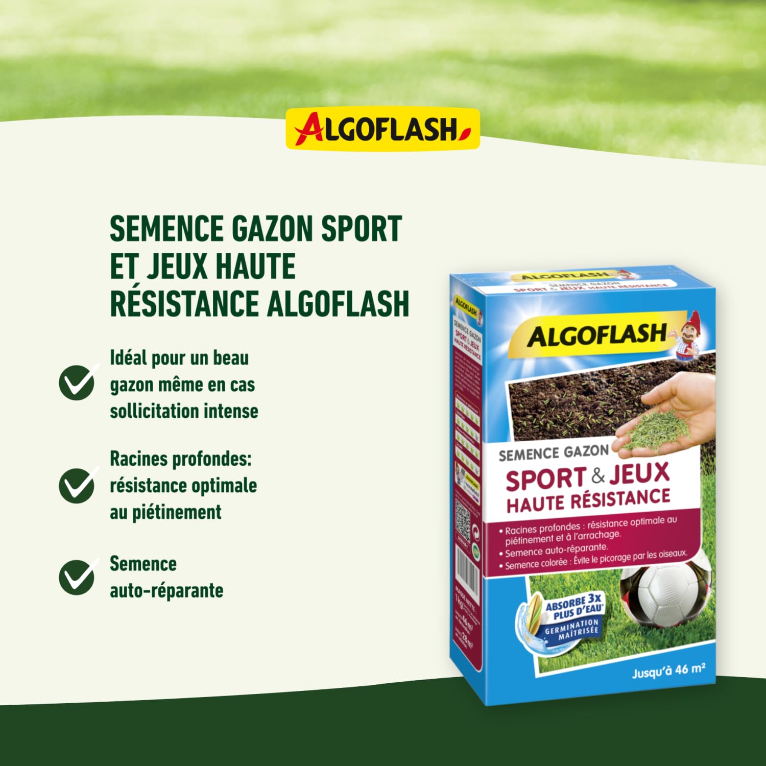 algoflash-semence-gazon-sport-jeu-haute-r-sistance-1-kg image 2