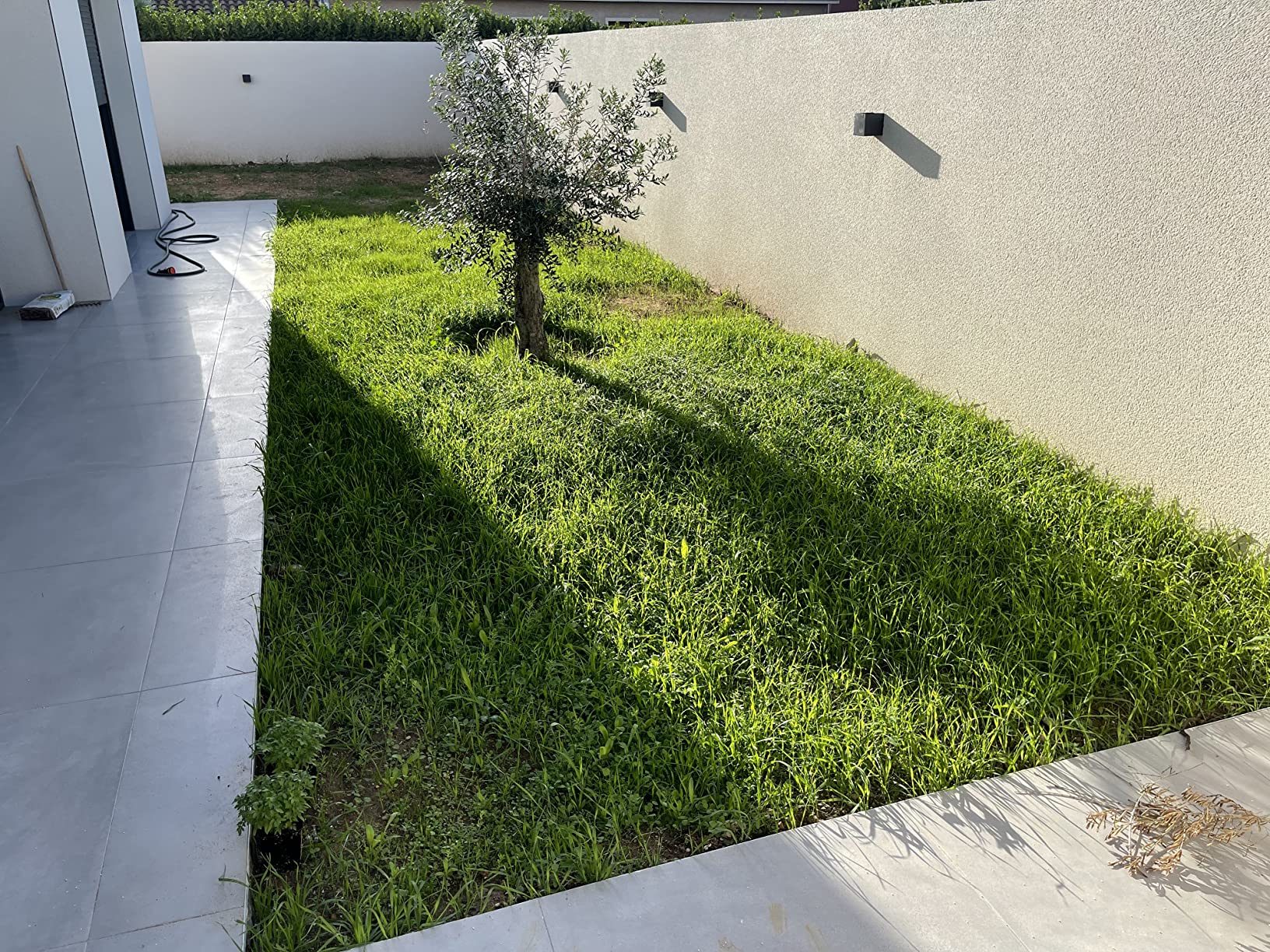 Pelouse refaite pour l'automne