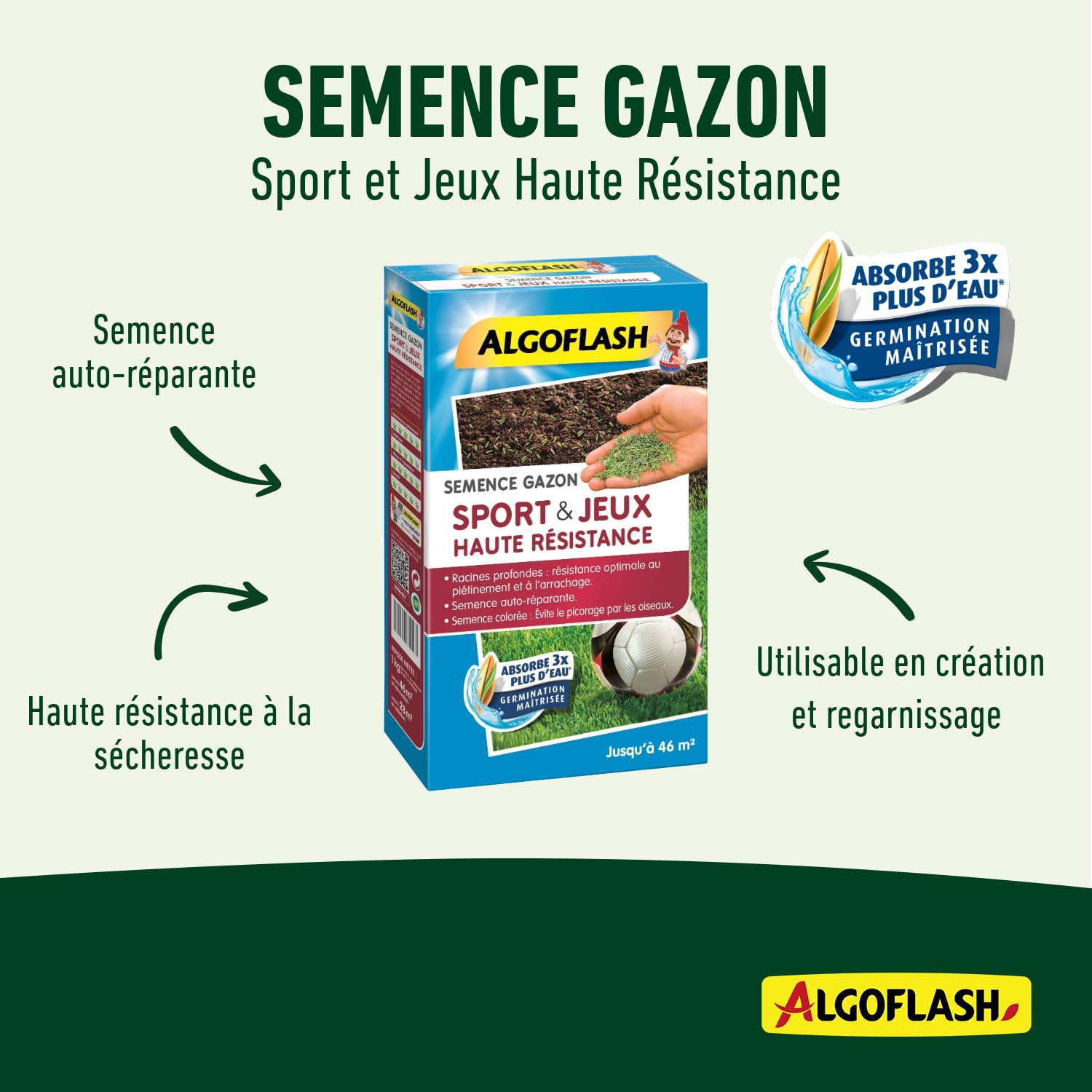 algoflash-semence-gazon-sport-jeu-haute-r-sistance-1-kg image 3