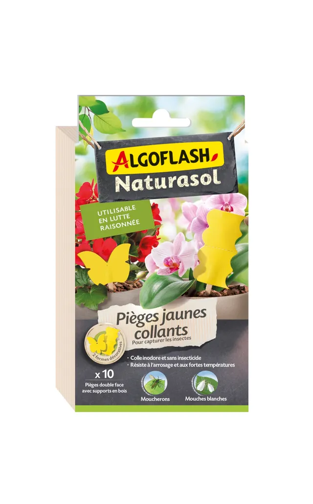 algoflash-naturasol-pi-ges-jaunes-collants-x10-anti-moucherons-sans-insecticide image 1
