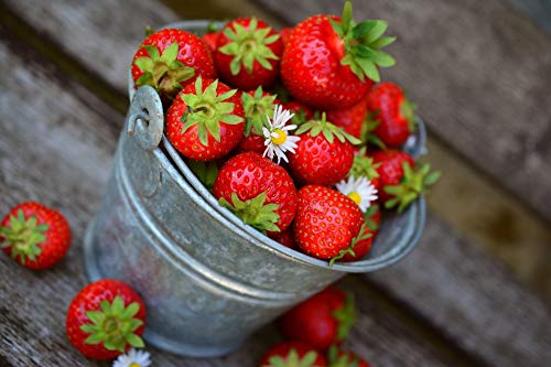 or-brun-or-activ-engrais-fraisiers-uab-sachet-650-g image 6