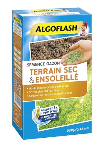 algoflash-semence-gazon-terrain-sec-et-ensoleill-1-kg-semsol1 image 8