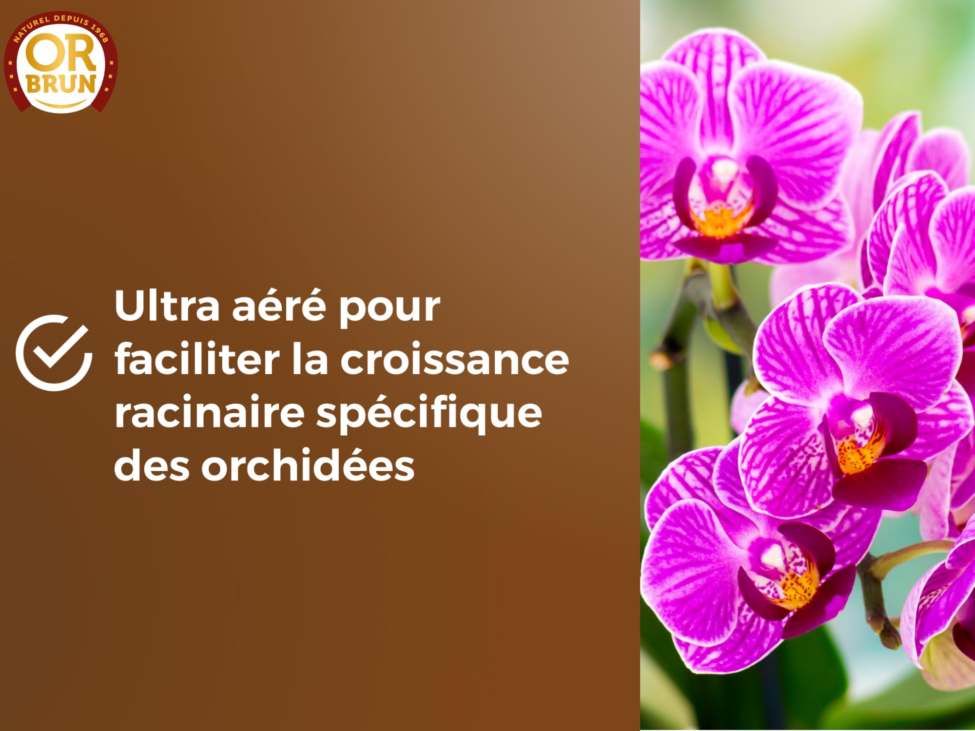 or-brun-terreau-orchid-es-6-l-drainant-uab image 5