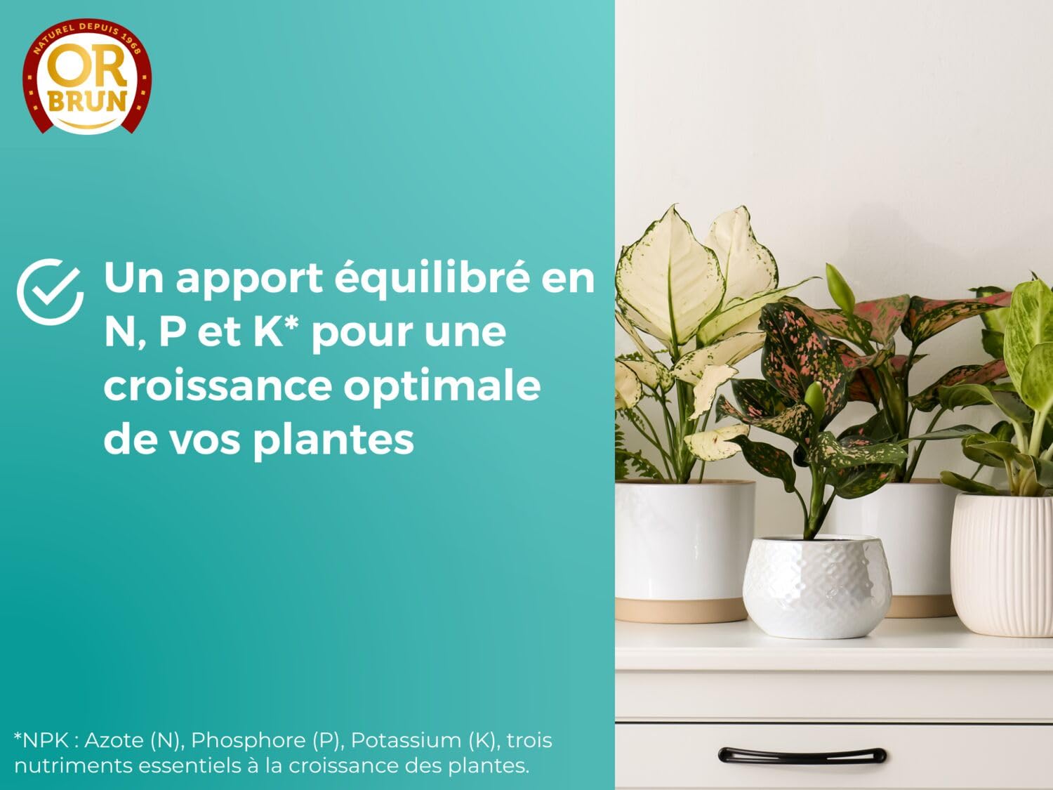 or-brun-engrais-plantes-vertes-liquide-250ml image 7
