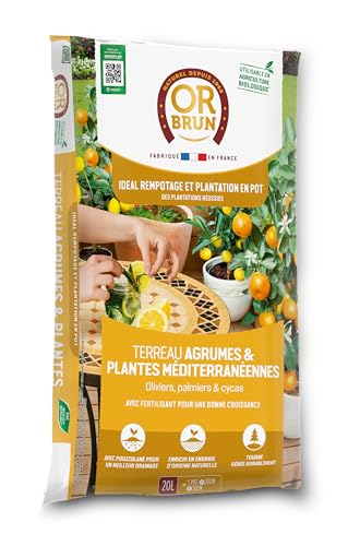 or-brun-terreau-agrumes-20-l-drainant-pouzzolane-citronniers-en-pot image 6