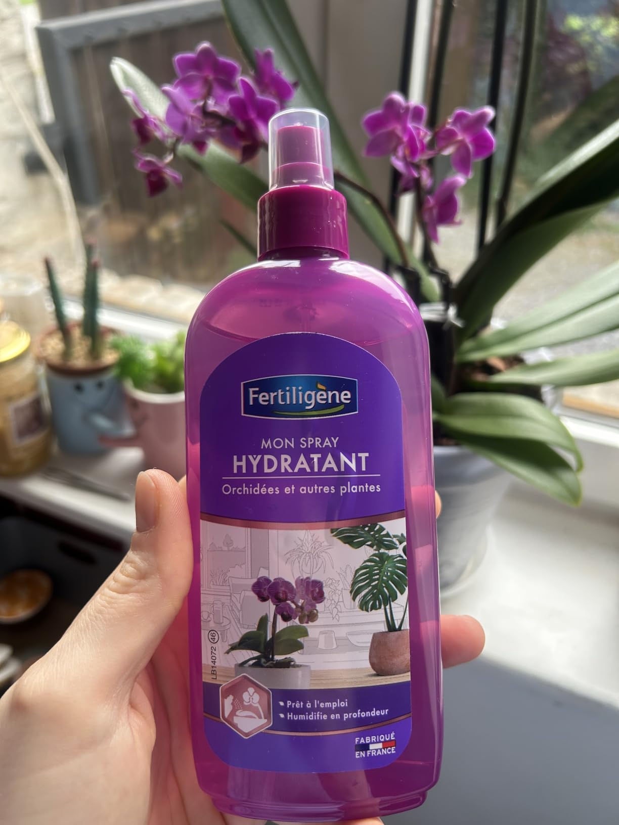 Mes orchidées adorent