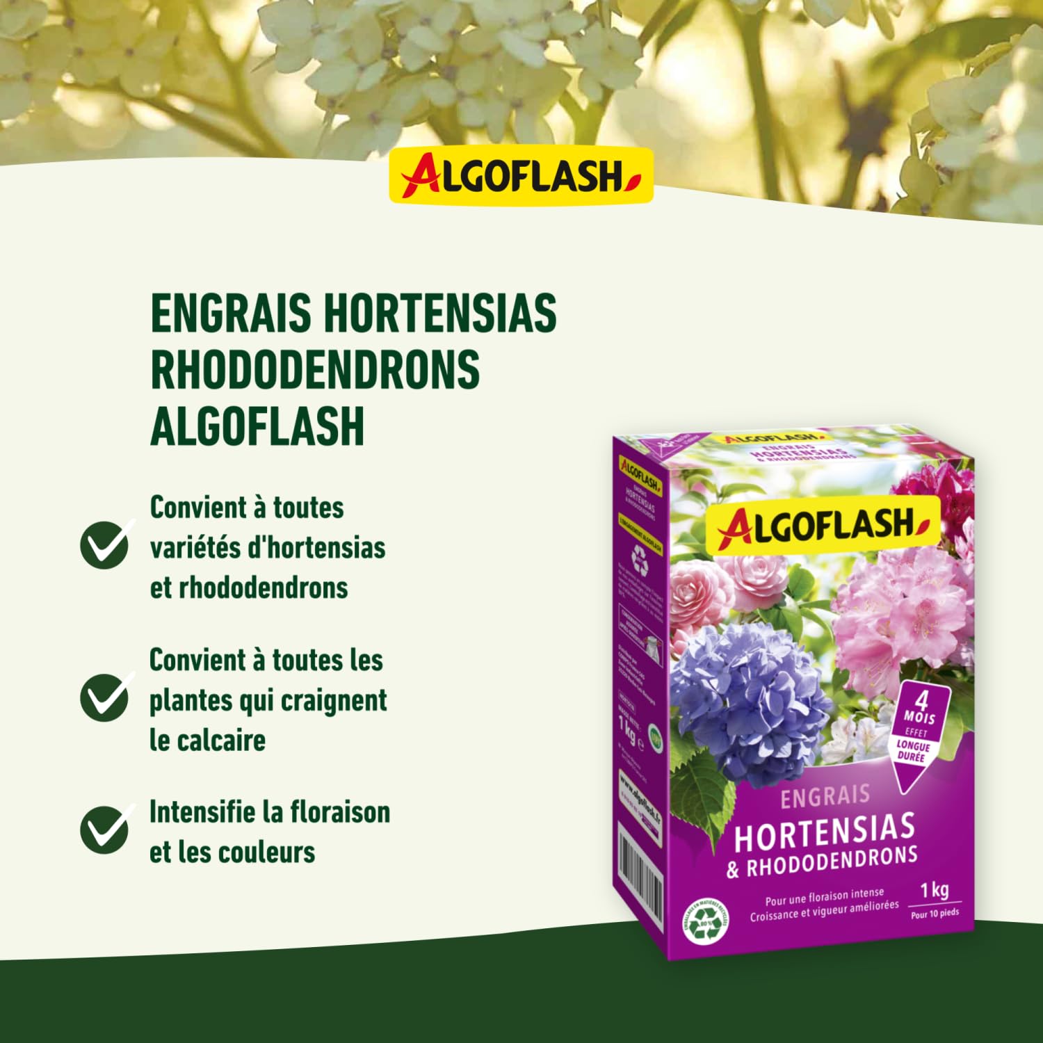 algoflash-engrais-hortensias-et-rhododendrons-longue-dur-e-1-kg-horto1n image 3