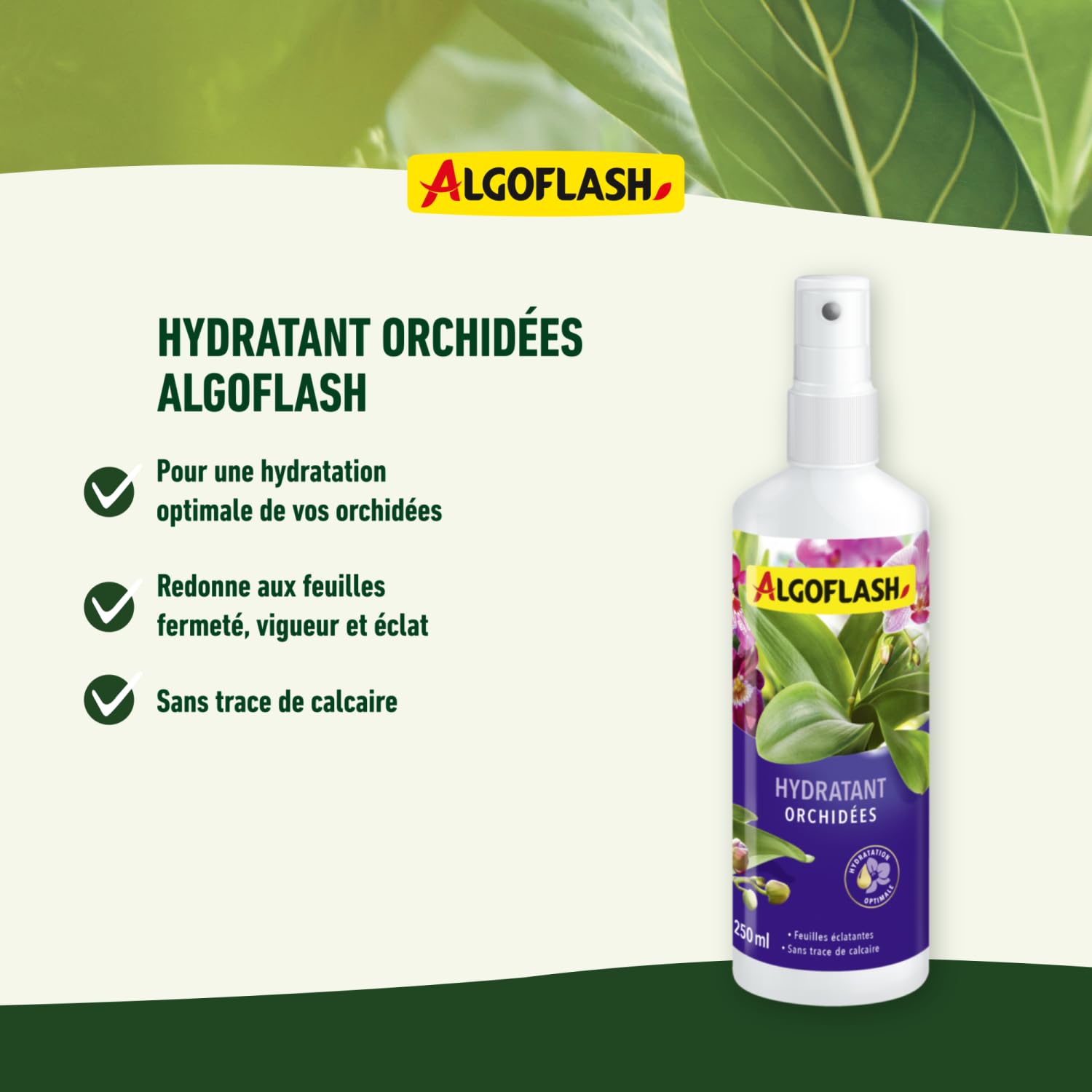 algoflash-hydratant-orchid-es-vaporisateur-250-ml image 3