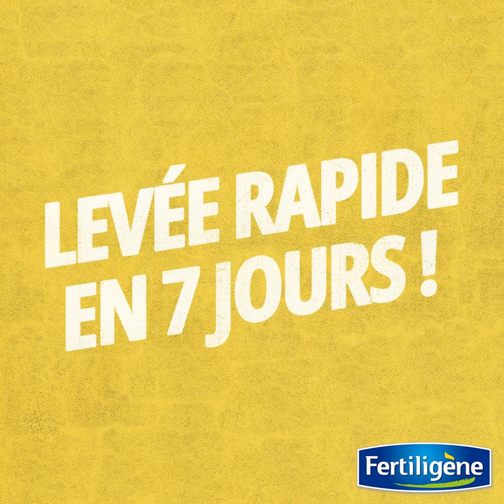 fertilig-ne-gazon-super-regarnissant-r-paration-2-kg-pour-100-m image 3