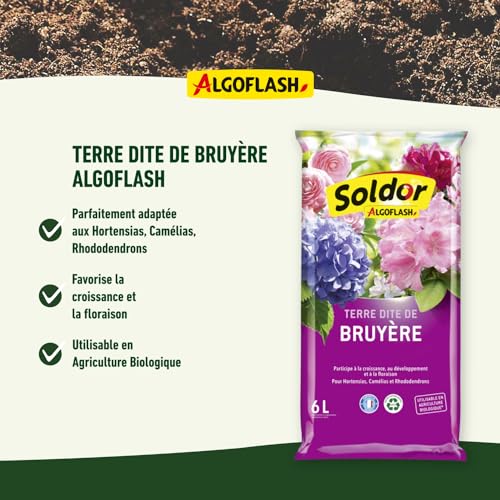 algoflash-terre-dite-de-bruy-re-uab-6l-tb6 image 8