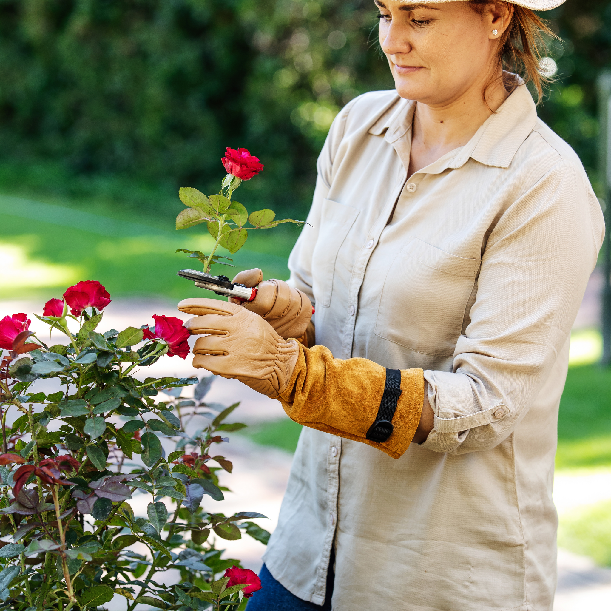 felco-705-gants-pour-roses-gants-de-taille-jardin image 4
