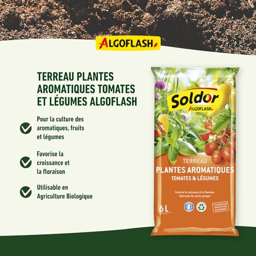 algoflash-terreau-aromatiques-tomates-et-l-gumes-6-l-uab image 8