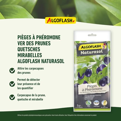 algoflash-naturasol-biopipru2a-pi-ges-ph-romone-ver-des-prunes-x2 image 4