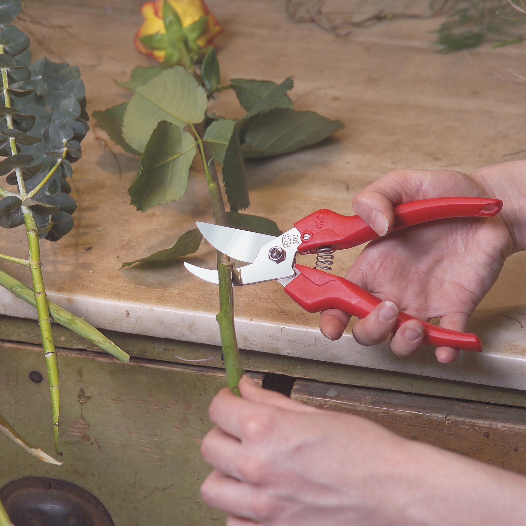 felco-300-pinette-t-te-incurv-e-inox-pour-fleurs-fruits-et-petites-branches image 3
