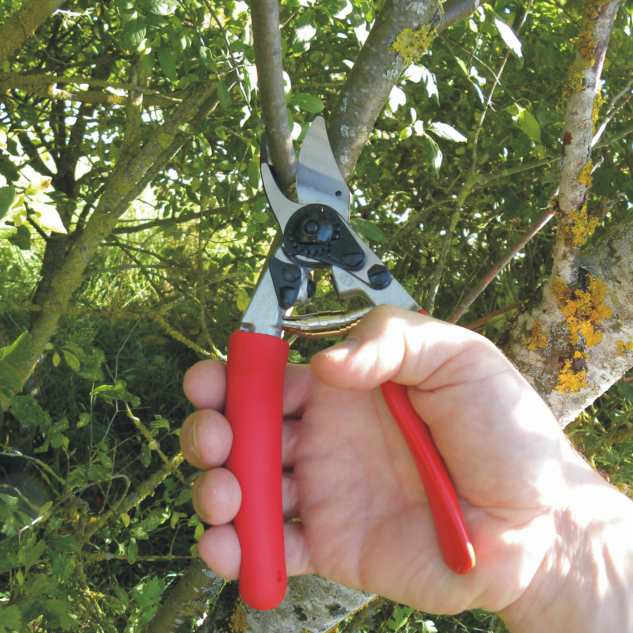 felco-12-s-cateur-une-main-droitier-poign-e-rotative image 4