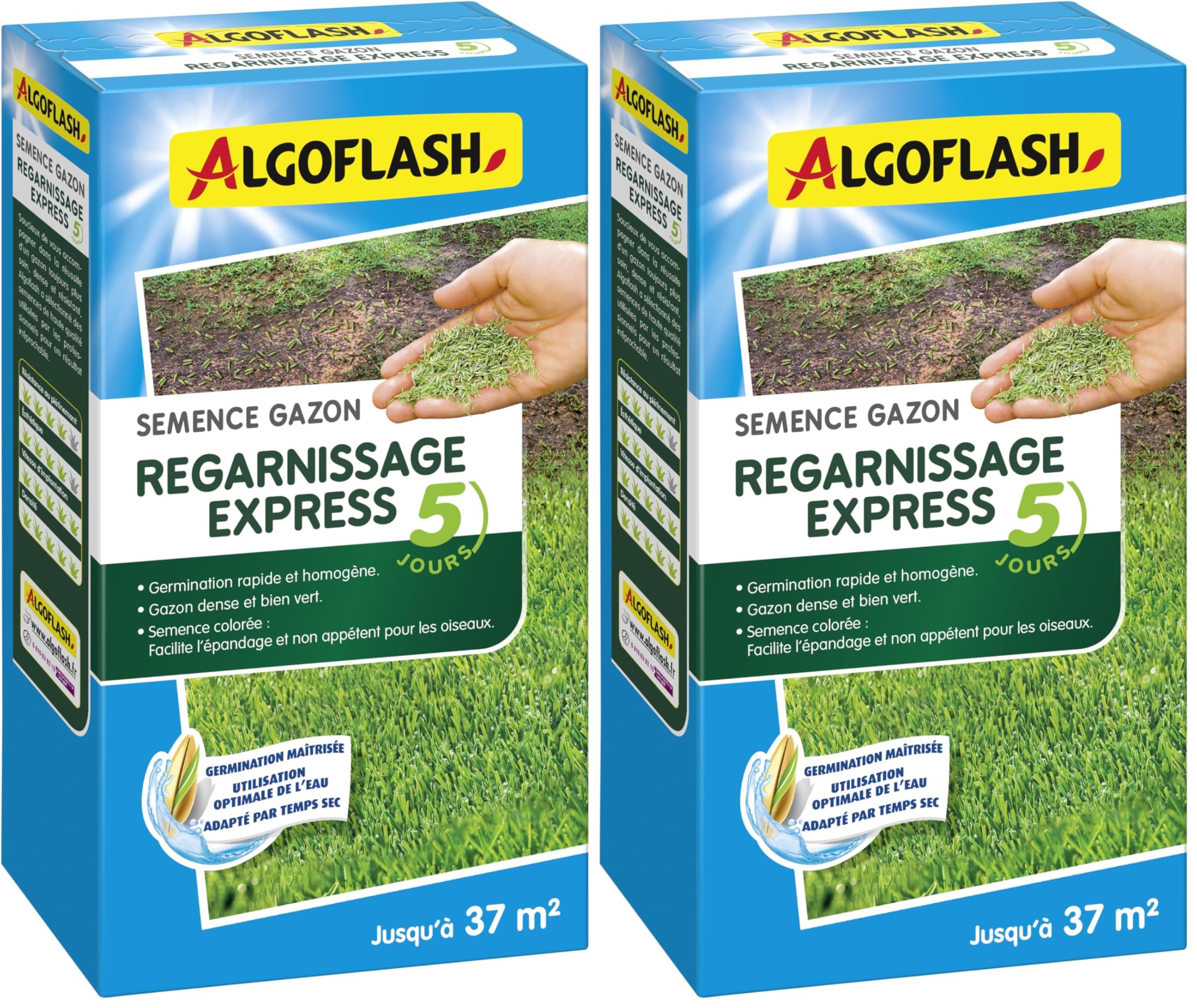 algoflash-semences-gazon-regarnissage-express-5-jours-2-5-kg image 5