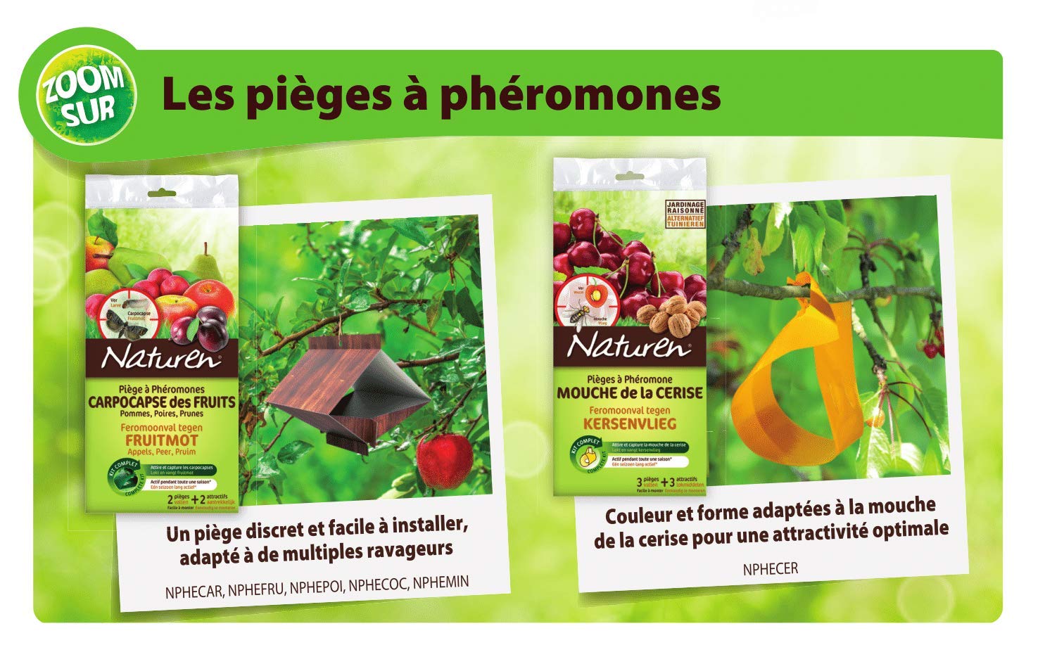 fertilig-ne-naturen-pi-ges-ph-romone-mineuse-du-marronnier-vert-8651-2-pi-ges-2- image 3