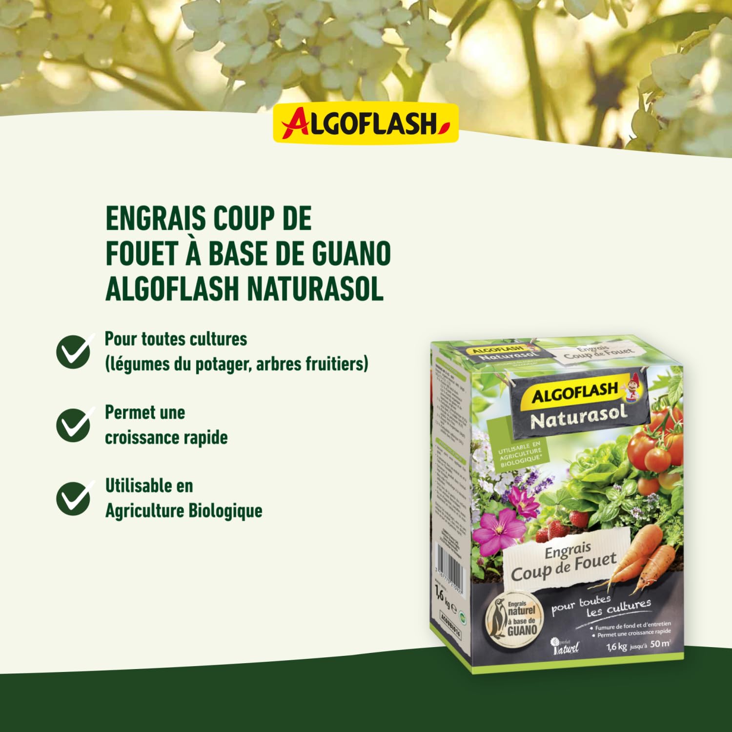 algoflash-naturasol-engrais-coup-de-fouet-base-de-guano-1-6-kg image 3
