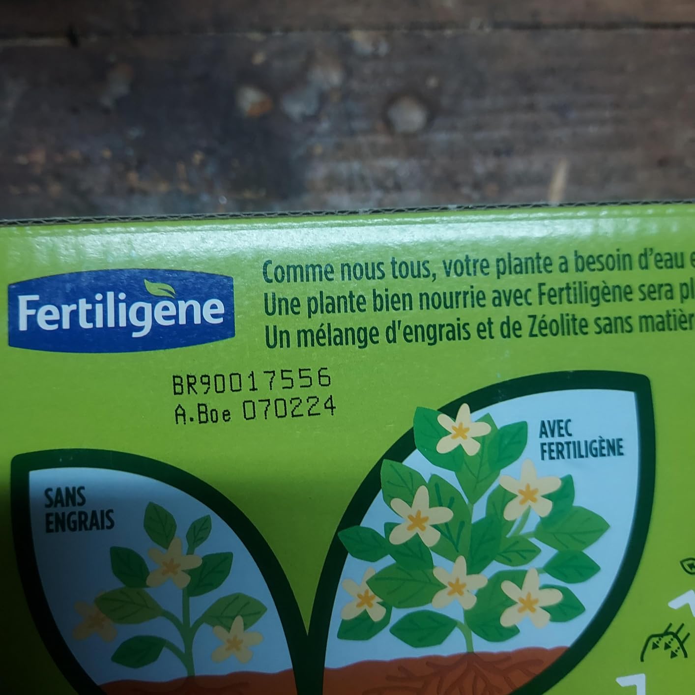 Citronnier relancé