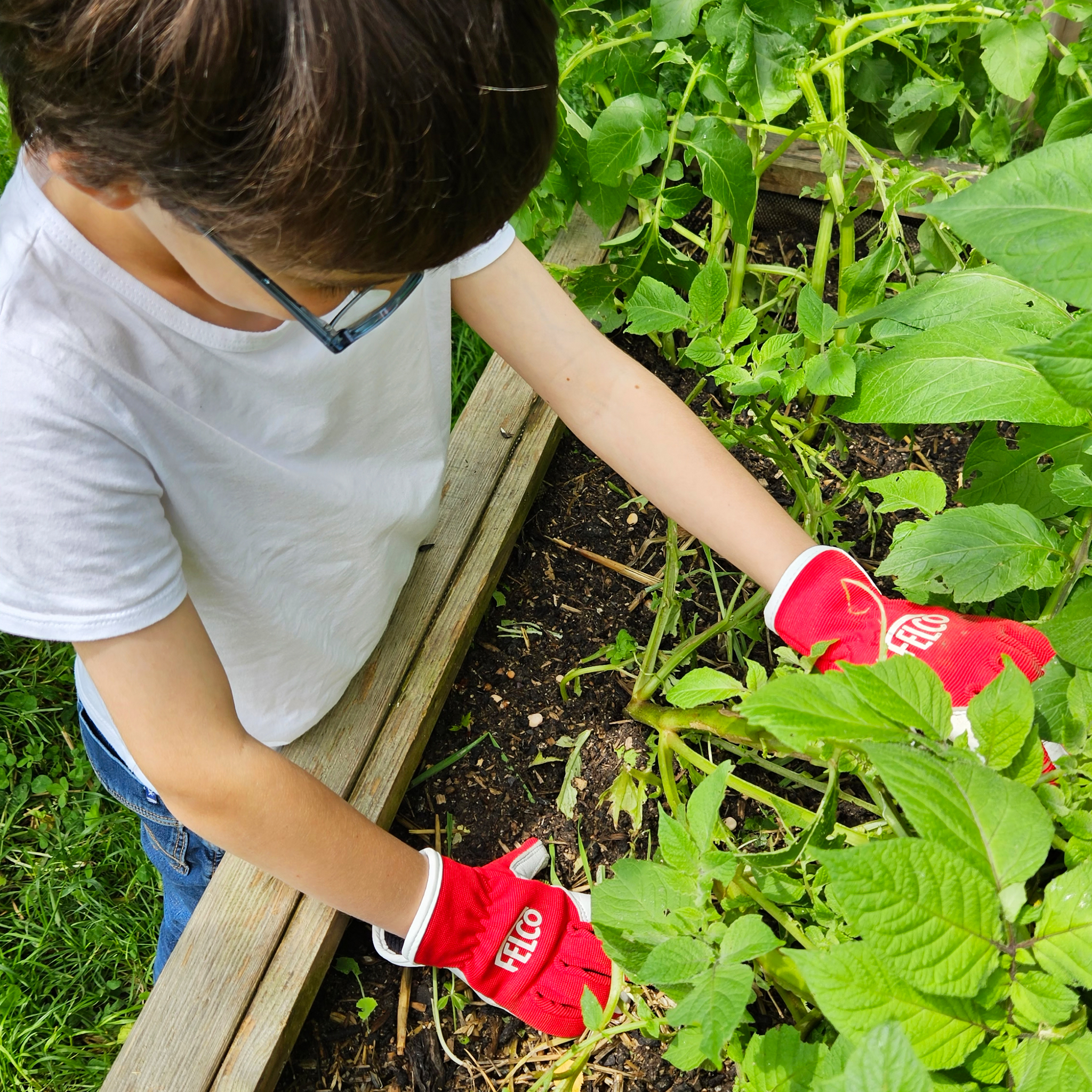 felco-720-kids-gants-de-jardinage-enfant image 4
