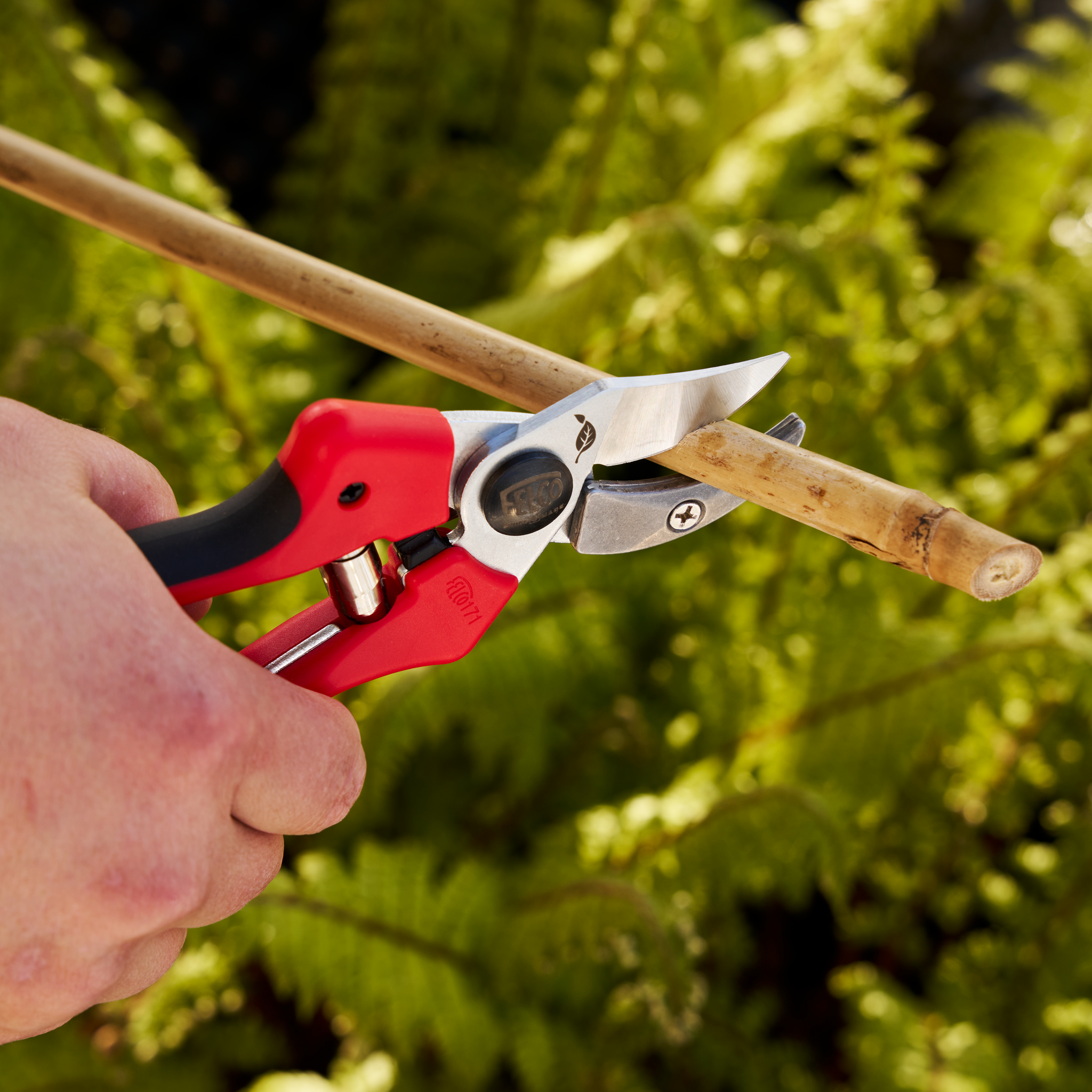 felco-171m-a-s-cateur-enclume-poign-e-ergonomique image 4