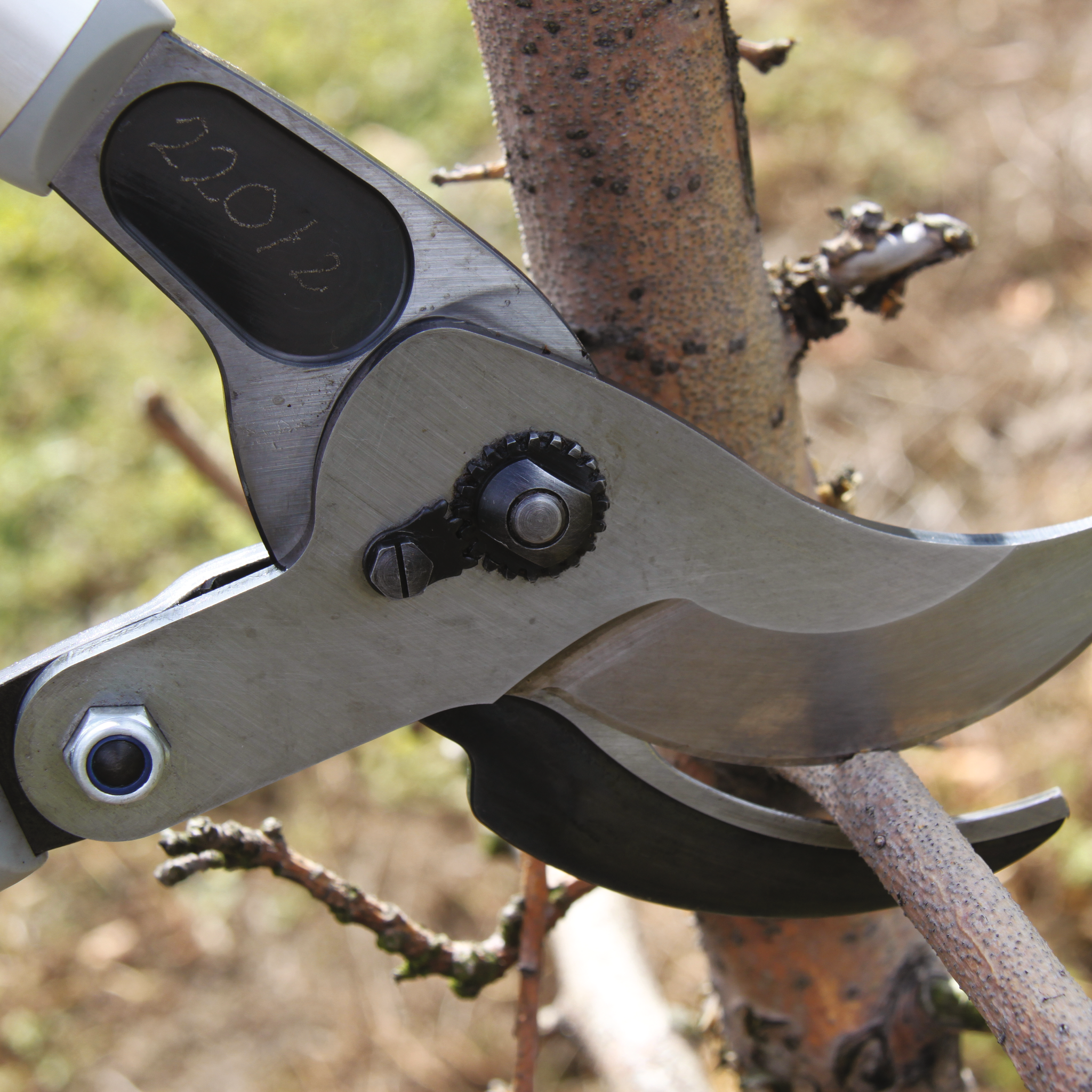 felco-220-brancheur-engrenage-l-ger-et-puissant image 2