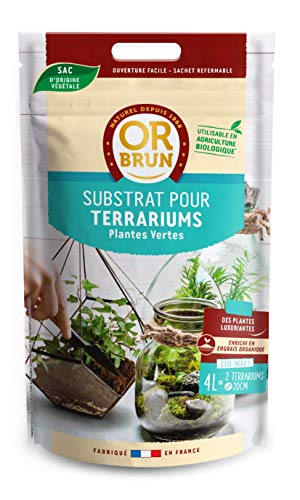 or-brun-terreau-terrarium-4-l-fin-et-r-tenteur-d-eau-pour-plantes-de-terrarium image 5