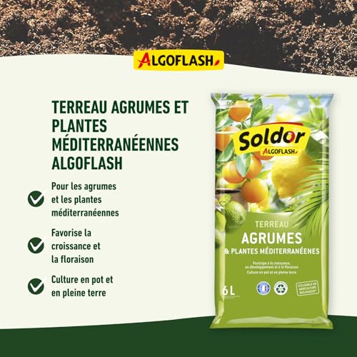 algoflash-terreau-agrumes-et-plantes-m-diterran-ennes-uab-6-l-pr-t-l-emploi image 8