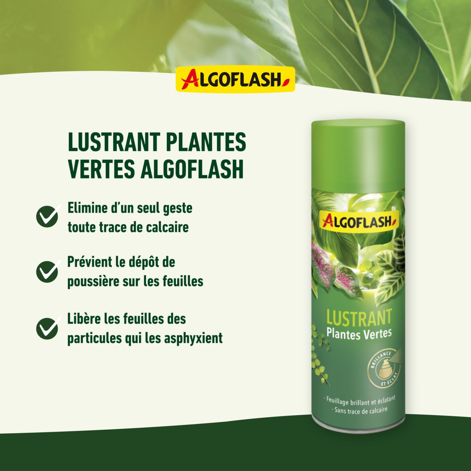 algoflash-lustrant-plantes-vertes-250-ml-brillance-et-protection image 3