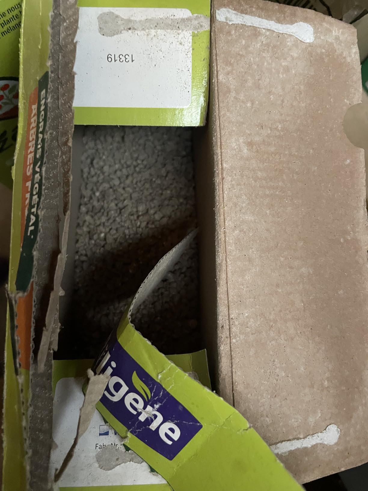 Mes pommiers ont explosé