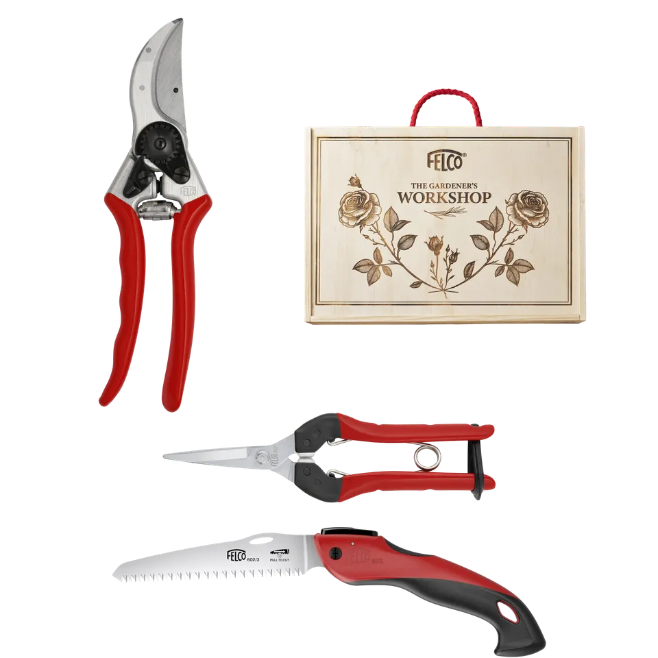 felco-935-c-l-atelier-du-jardinier-kit-taille-s-cateur-felco-2-scie-602-epinette image 1