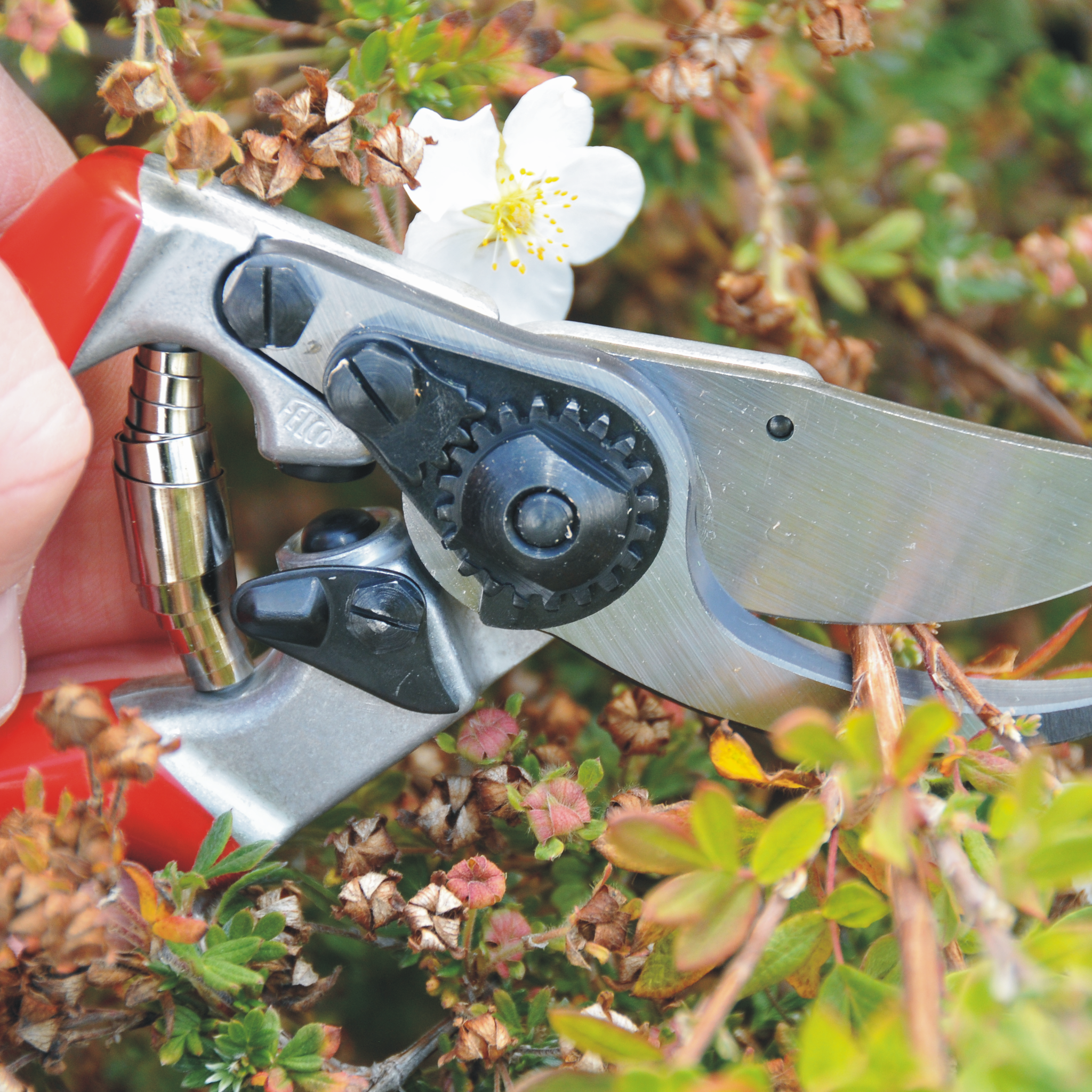 felco-9-s-cateur-une-main-pour-gaucher image 3