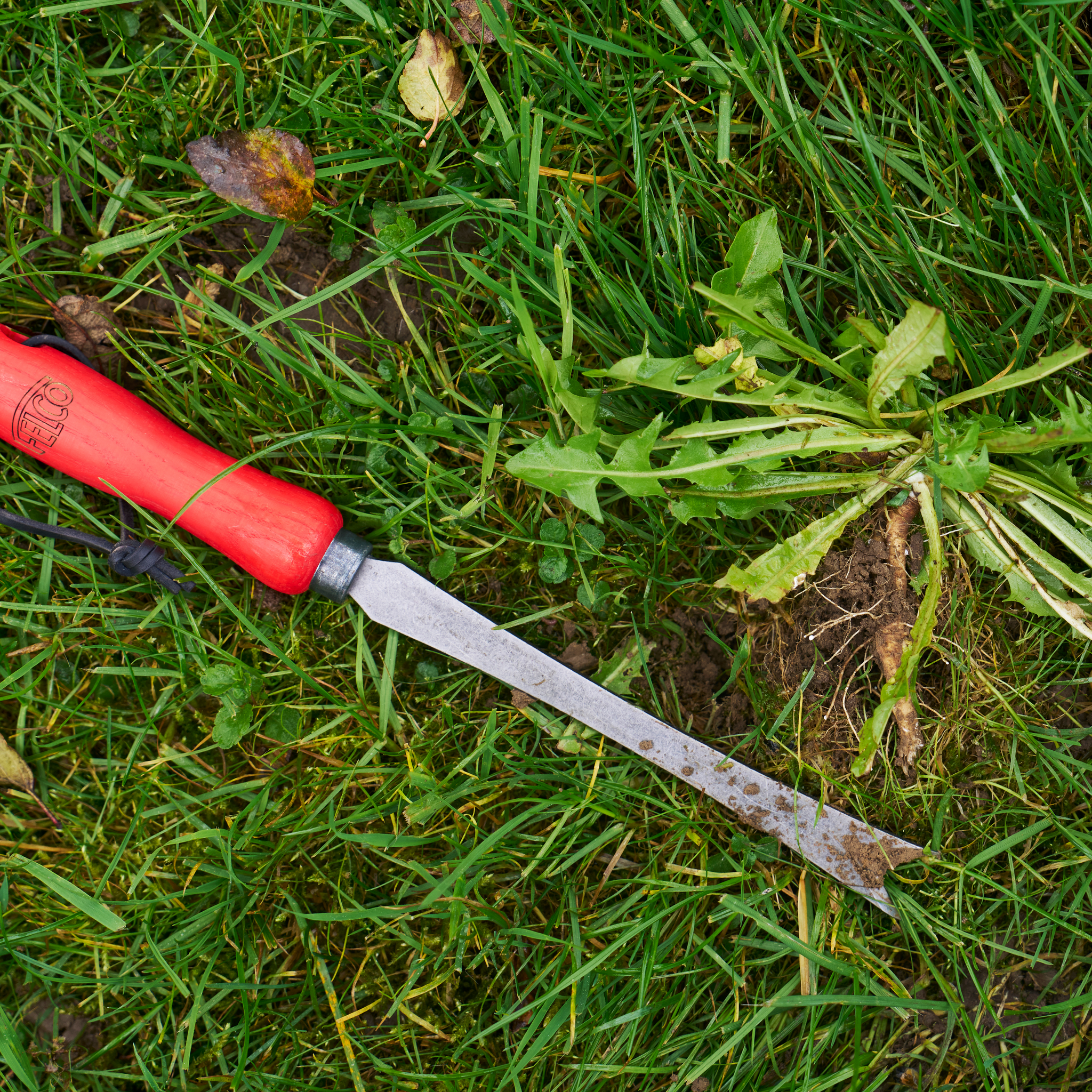 felco-442-hachette-de-jardin-forg-e-acier-au-bore-manche-fr-ne-fsc image 4