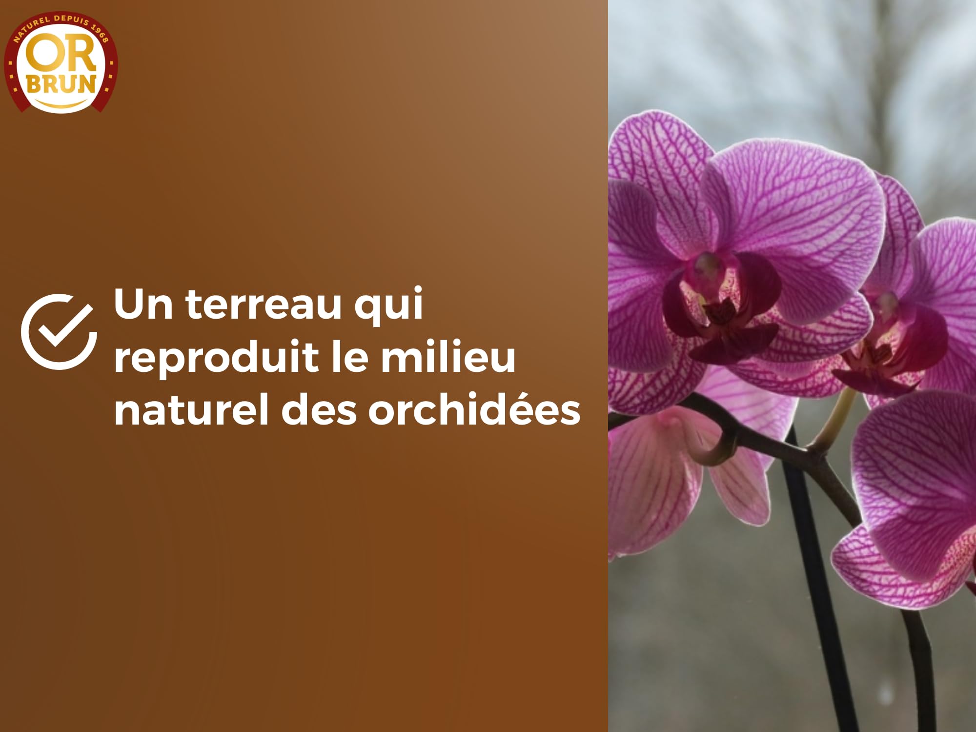 or-brun-terreau-orchid-es-6-l-drainant-uab image 4