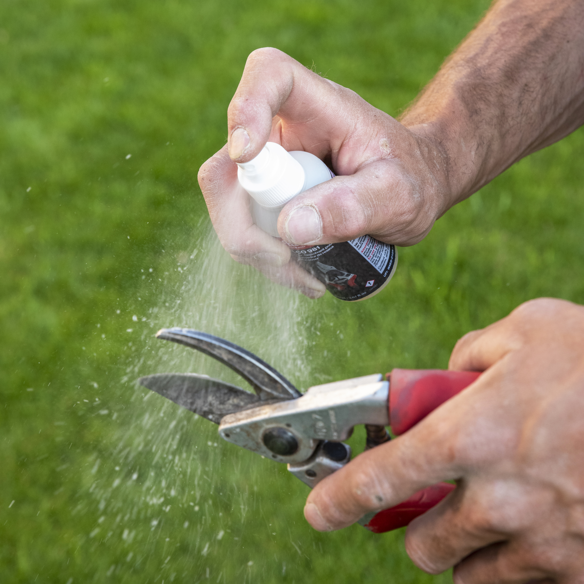 felco-981-dissolvant-biod-gradable-pour-outils-de-taille-spray image 3