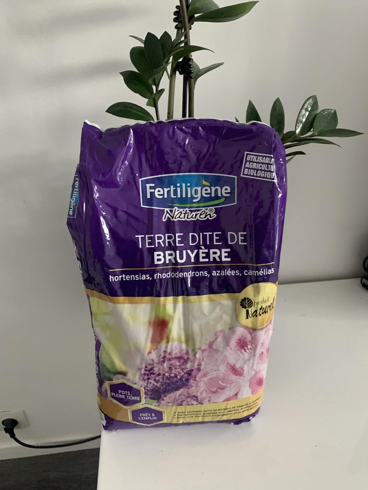 Parfaite pour rempotage
