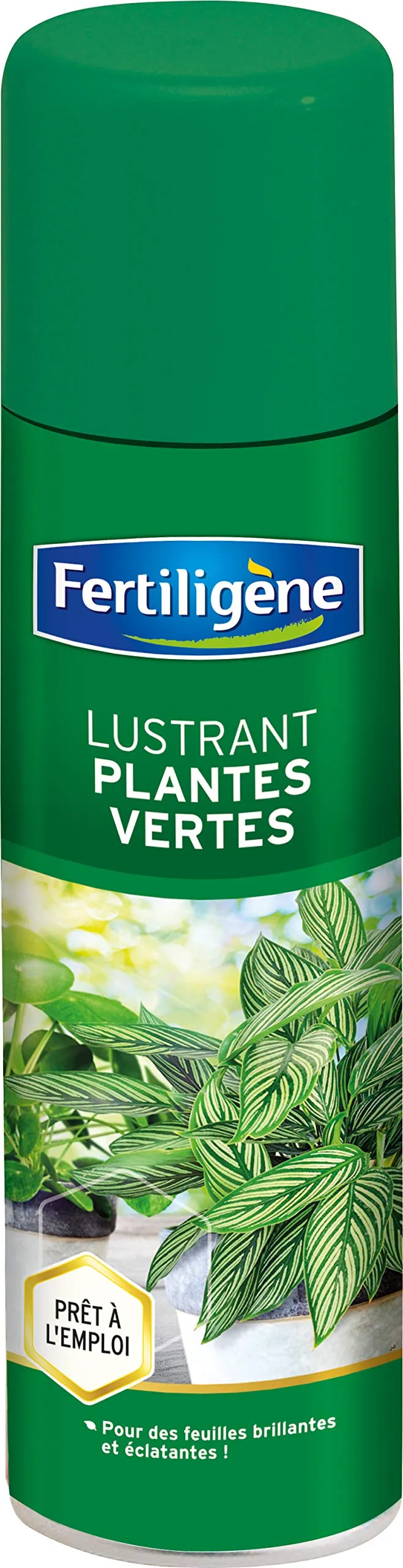 fertilig-ne-flustrn-lustrant-a-rosol-plantes-vertes-200-ml image 1